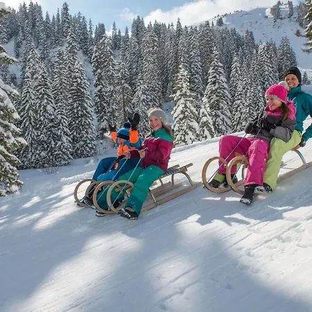 Garni Ragaz 3* Damüls
