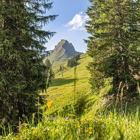 Garni Ragaz 3* Damuels
